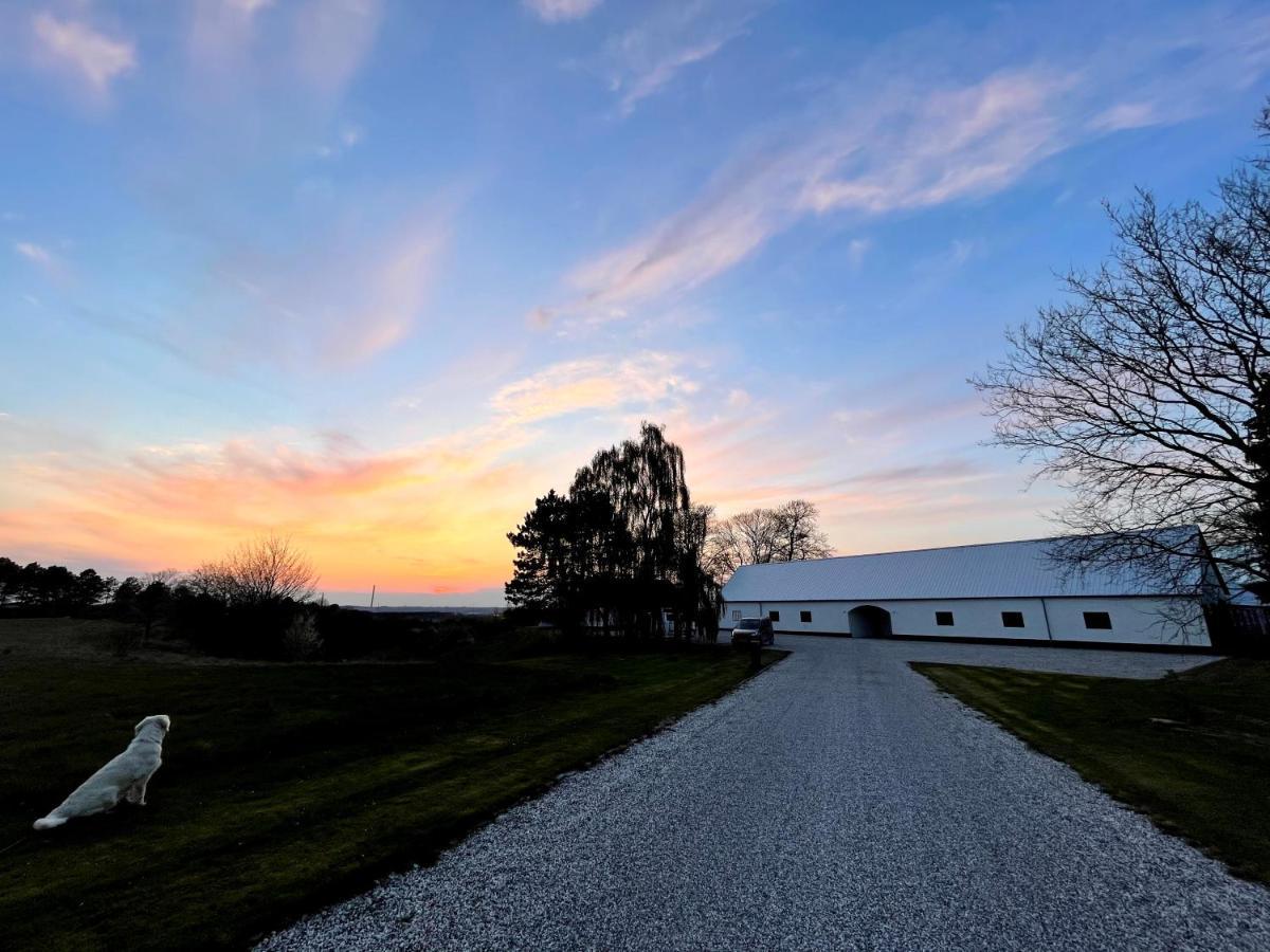 Essenbaekgaard B&B Assentoft Kültér fotó
